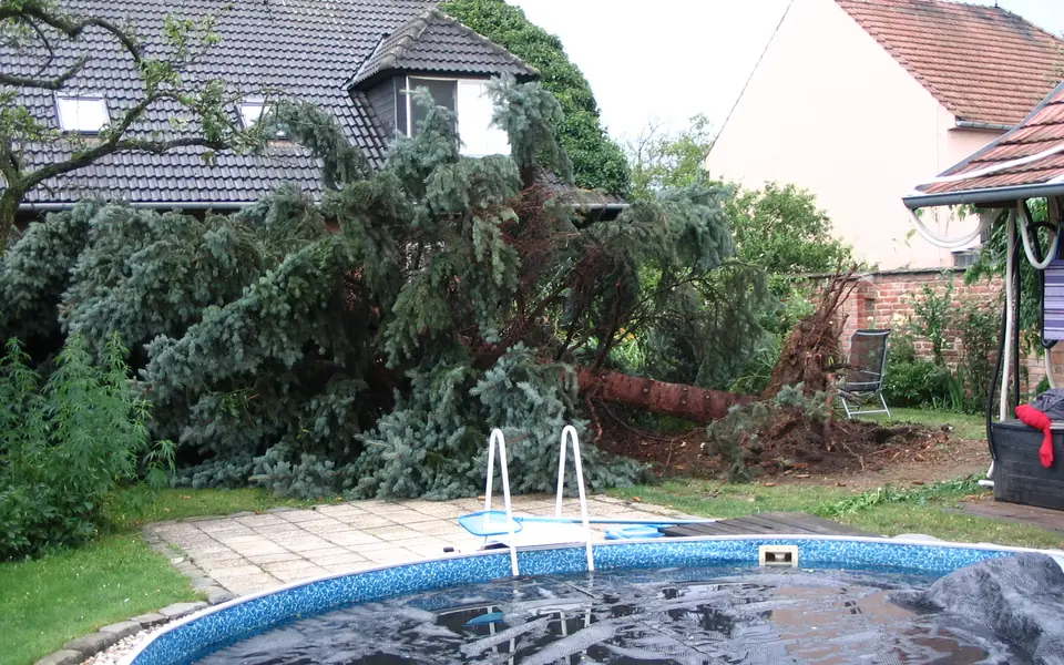 Tree blown over in a backyard after a storm